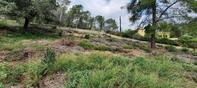 Building Plot for sale in Olivella - € 130,000 (Ref: 8539628)