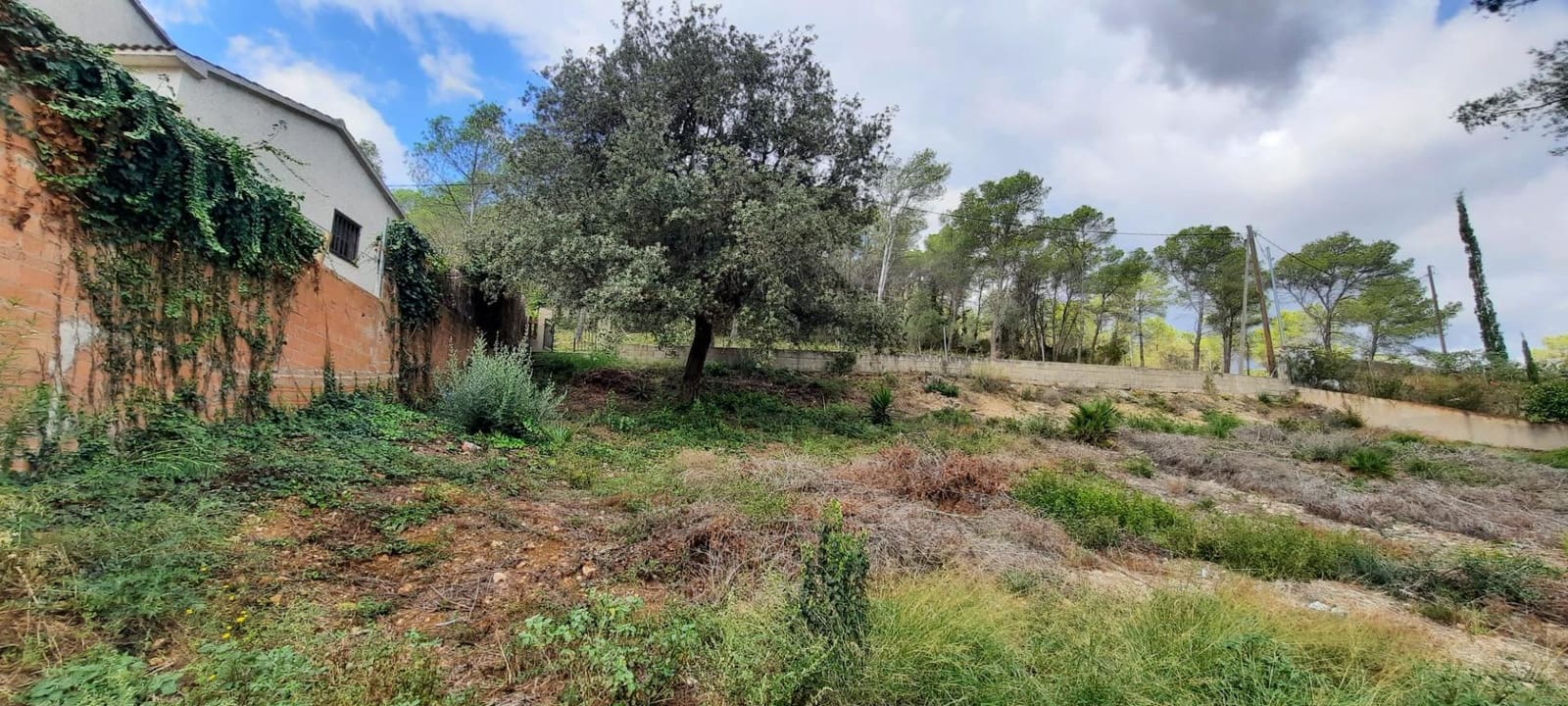 Building Plot for sale in Olivella - € 130,000 (Ref: 8539628)