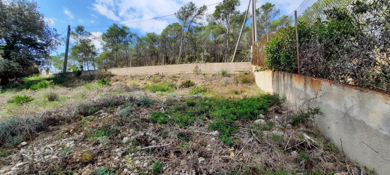 Building Plot for sale in Olivella - € 130,000 (Ref: 8539628)