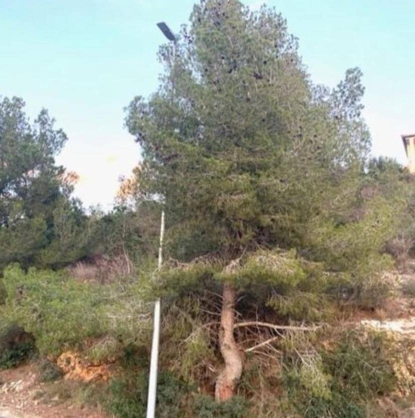 Building Plot for sale in Segur de Calafell - € 24,000 (Ref: 8559678)