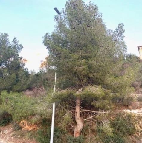 Building Plot for sale in Segur de Calafell, Calafell - € 24,000 (Ref: 8559678)
