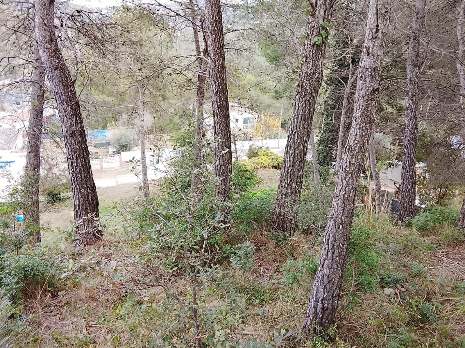 Rakentamaton maa myytävänä paikassa Sant Pere de Ribes - 32 000 € (Ref: 8670552)