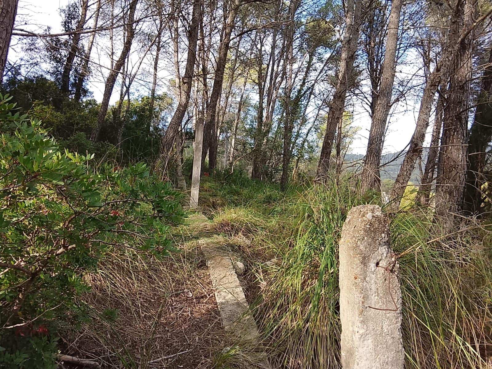 Rakentamaton maa myytävänä paikassa Sant Pere de Ribes - 32 000 € (Ref: 8670552)