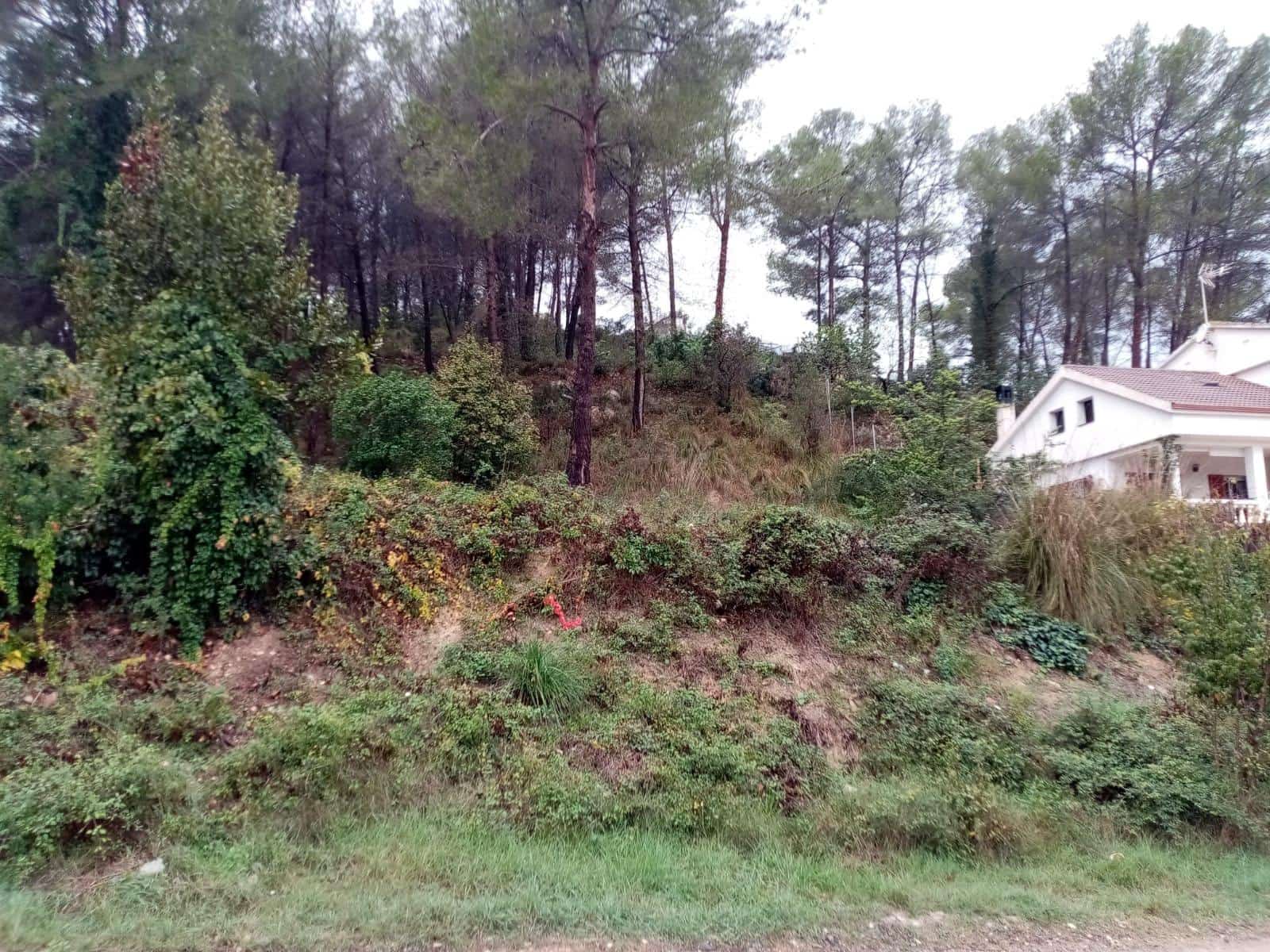Undeveloped Land for sale in Sant Pere de Ribes - € 30,000 (Ref: 8670552)