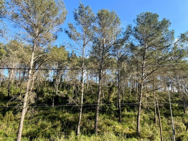 Tontti myytävänä paikassa Canyelles - 76 000 € (Ref: 8916151)