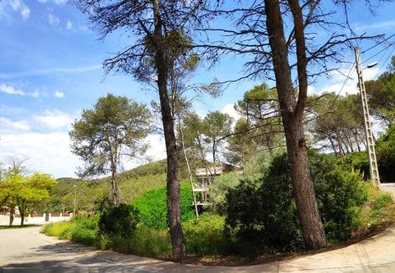 Bauplatz zu verkaufen in Olivella - 75.000 € (Ref: 9095328)