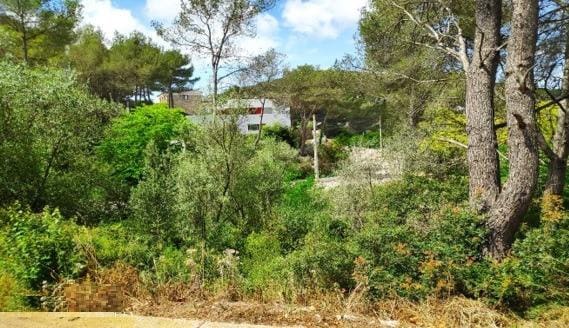 Bauplatz zu verkaufen in Olivella - 75.000 € (Ref: 9095328)