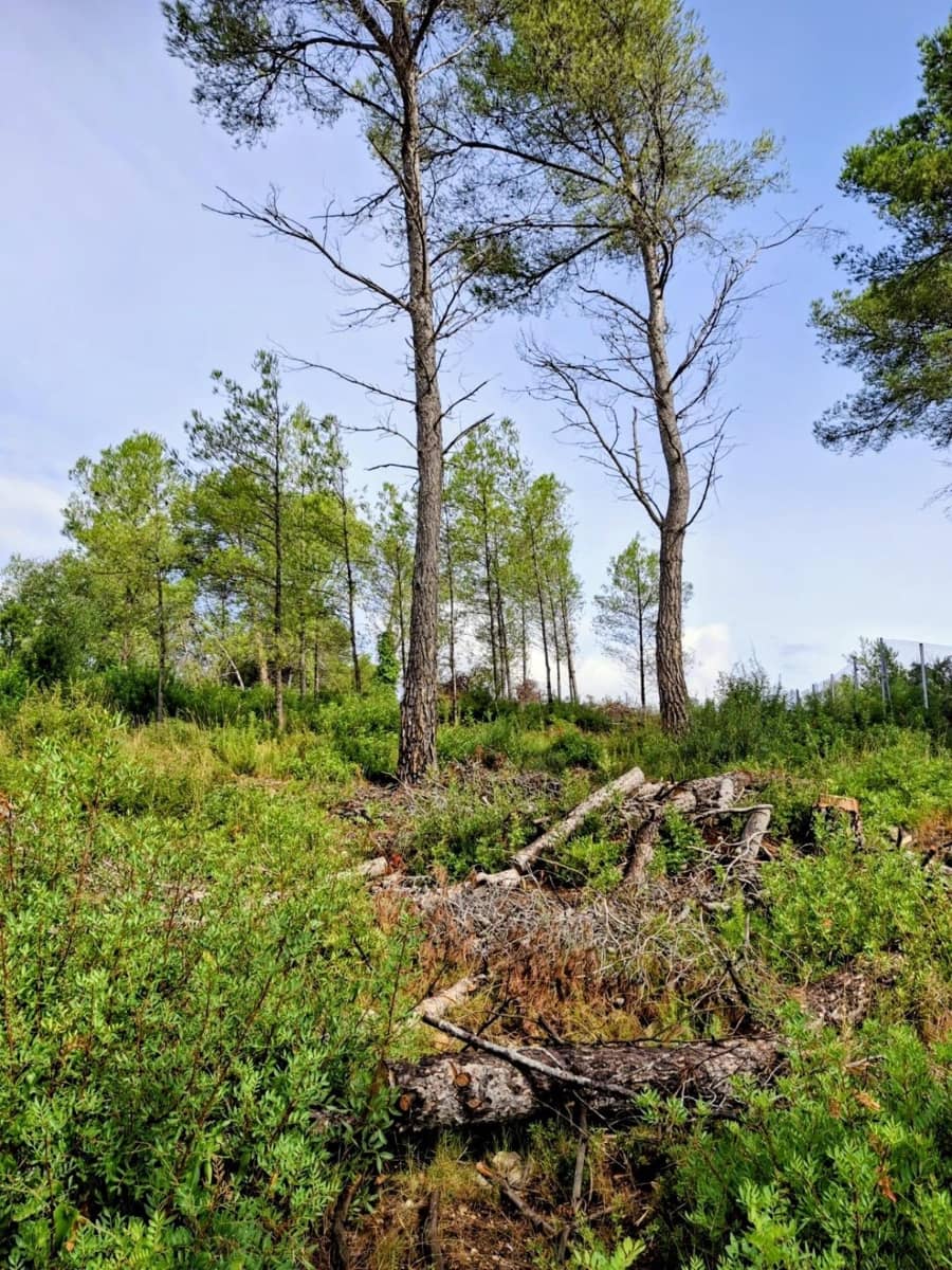 Bauplatz zu verkaufen in Olivella - 42.000 € (Ref: 9248215)