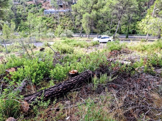 Bauplatz zu verkaufen in Olivella - 42.000 € (Ref: 9248215)