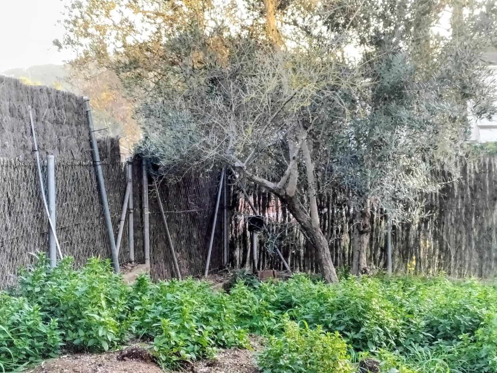 Chalet de 5 habitaciones en Canyelles en venta con piscina - 600.000 € (Ref: 9452795)