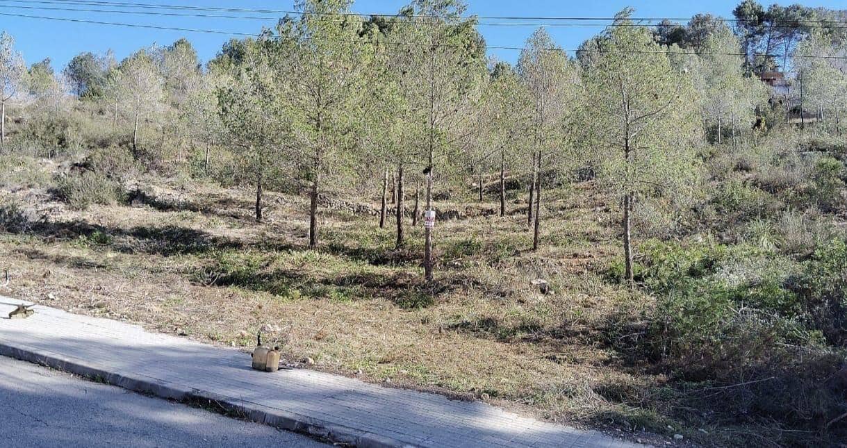 Building Plot for sale in Olivella - € 50,000 (Ref: 9527780)