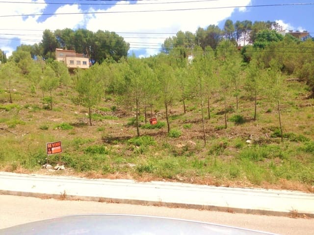 Tontti myytävänä paikassa Olivella - 50 000 € (Ref: 9527780)