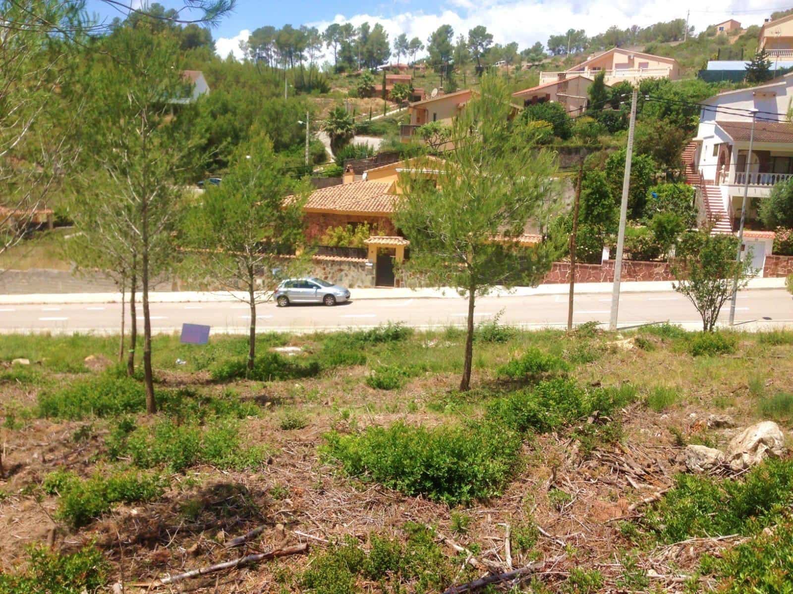 Building Plot for sale in Olivella - € 50,000 (Ref: 9527780)