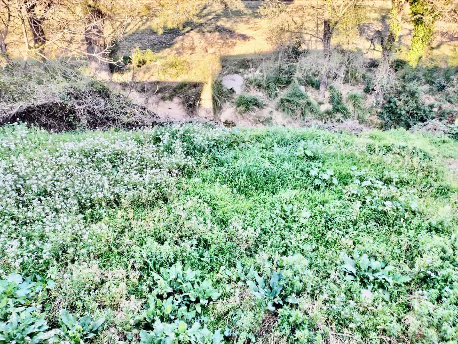 5 sovrum Villa till salu i Canyelles med garage - 309 000 € (Ref: 9639512)