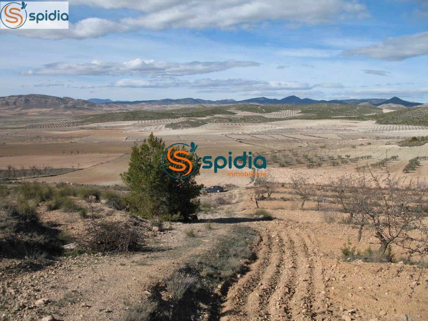 Bouwgrond te koop in La Paca - € 26.000 (Ref: 6444063)