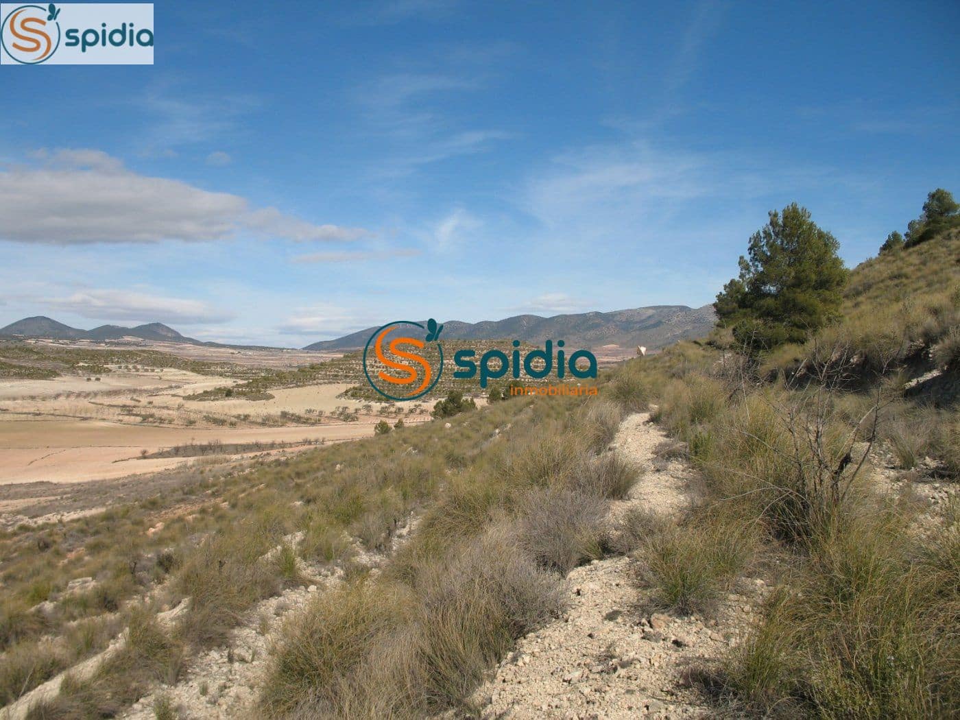 Bouwgrond te koop in La Paca - € 26.000 (Ref: 6444063)