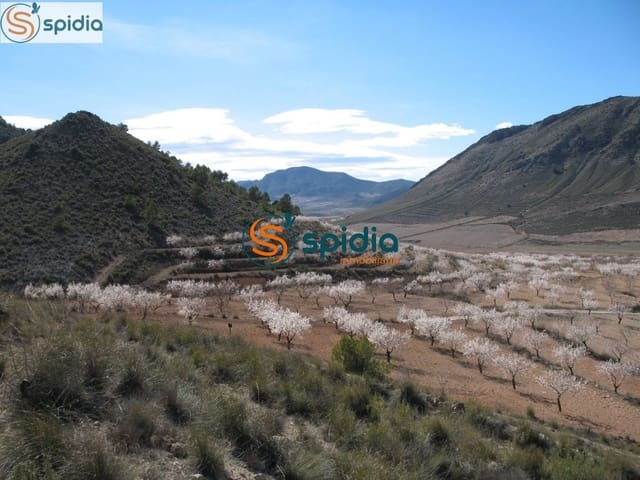 Building Plot for sale in La Paca, Lorca - € 26,000 (Ref: 6444063)
