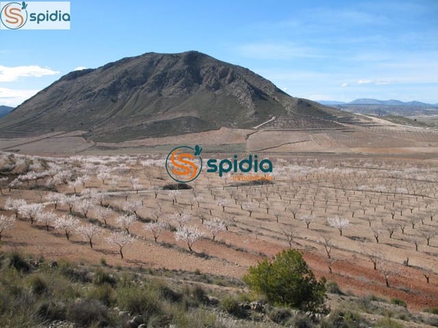 Building Plot for sale in La Paca, Lorca - € 26,000 (Ref: 6444063)