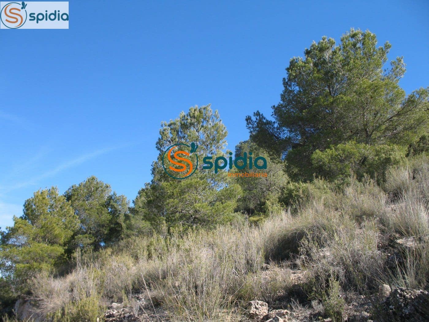 Bouwgrond te koop in La Paca - € 26.000 (Ref: 6444063)