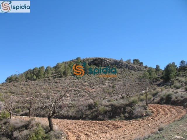 Building Plot for sale in La Paca, Lorca - € 26,000 (Ref: 6444063)