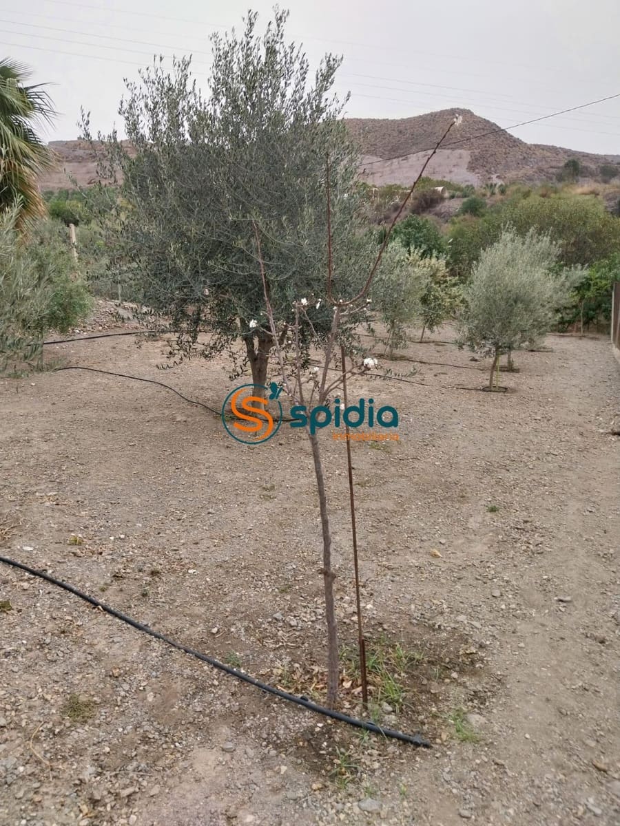 2 sypialnia Finka/Dom wiejski na sprzedaż w Aguilas z basenem - 155 000 € (Ref: 8430680)