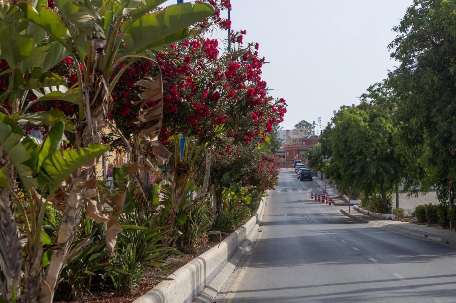 4 soveværelse Lejlighed til salg i Aguilas med swimmingpool - € 450.000 (Ref: 8624303)