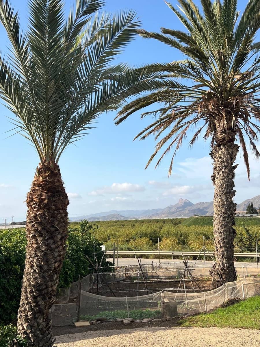 3 makuuhuone Maalaistalo myytävänä paikassa Aguilas mukana uima-altaan 
autotalli - 499 000 € (Ref: 9379004)