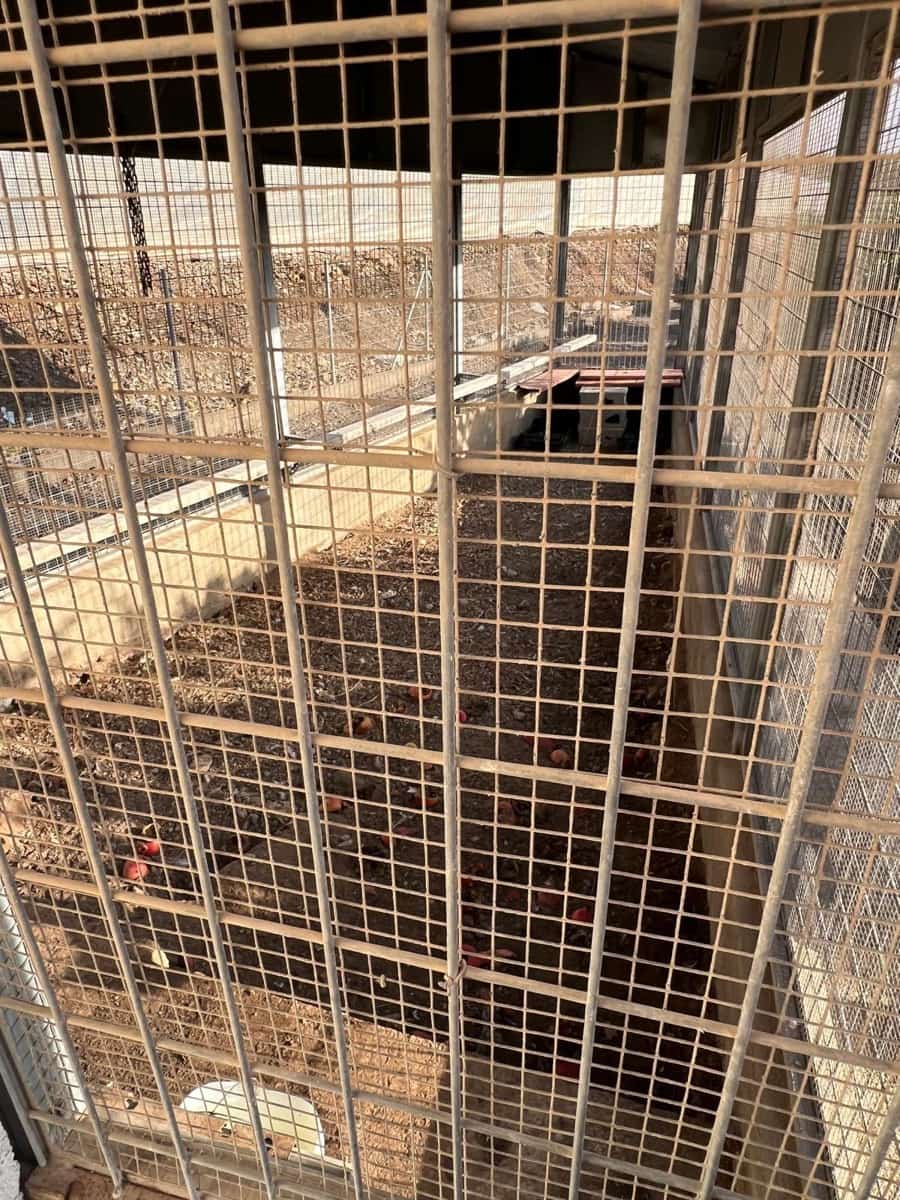 3 makuuhuone Maalaistalo myytävänä paikassa Aguilas mukana uima-altaan 
autotalli - 499 000 € (Ref: 9379004)