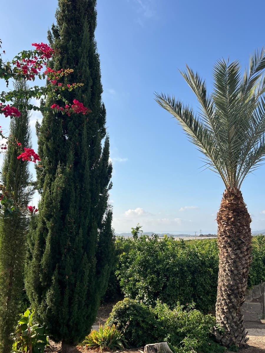 3 makuuhuone Maalaistalo myytävänä paikassa Aguilas mukana uima-altaan 
autotalli - 499 000 € (Ref: 9379004)