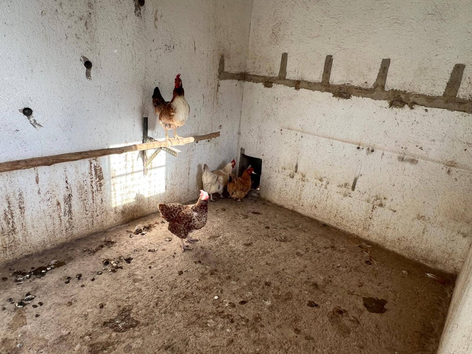 3 makuuhuone Maalaistalo myytävänä paikassa Aguilas mukana uima-altaan 
autotalli - 499 000 € (Ref: 9379004)