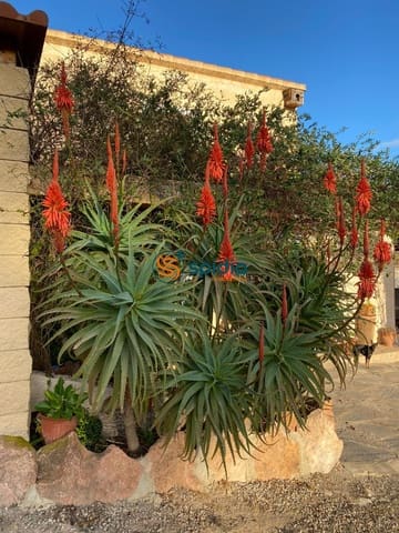 Finca/Casa Rural de 4 habitaciones en Purias, Lorca en venta con piscina - 1.500.000 € (Ref: 9485284)