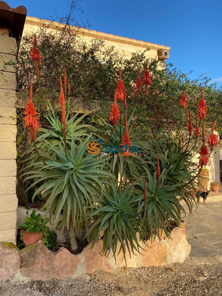 4 soverom Finca/Herregård til salgs i Purias med svømmebasseng - € 700 000 (Ref: 9485284)