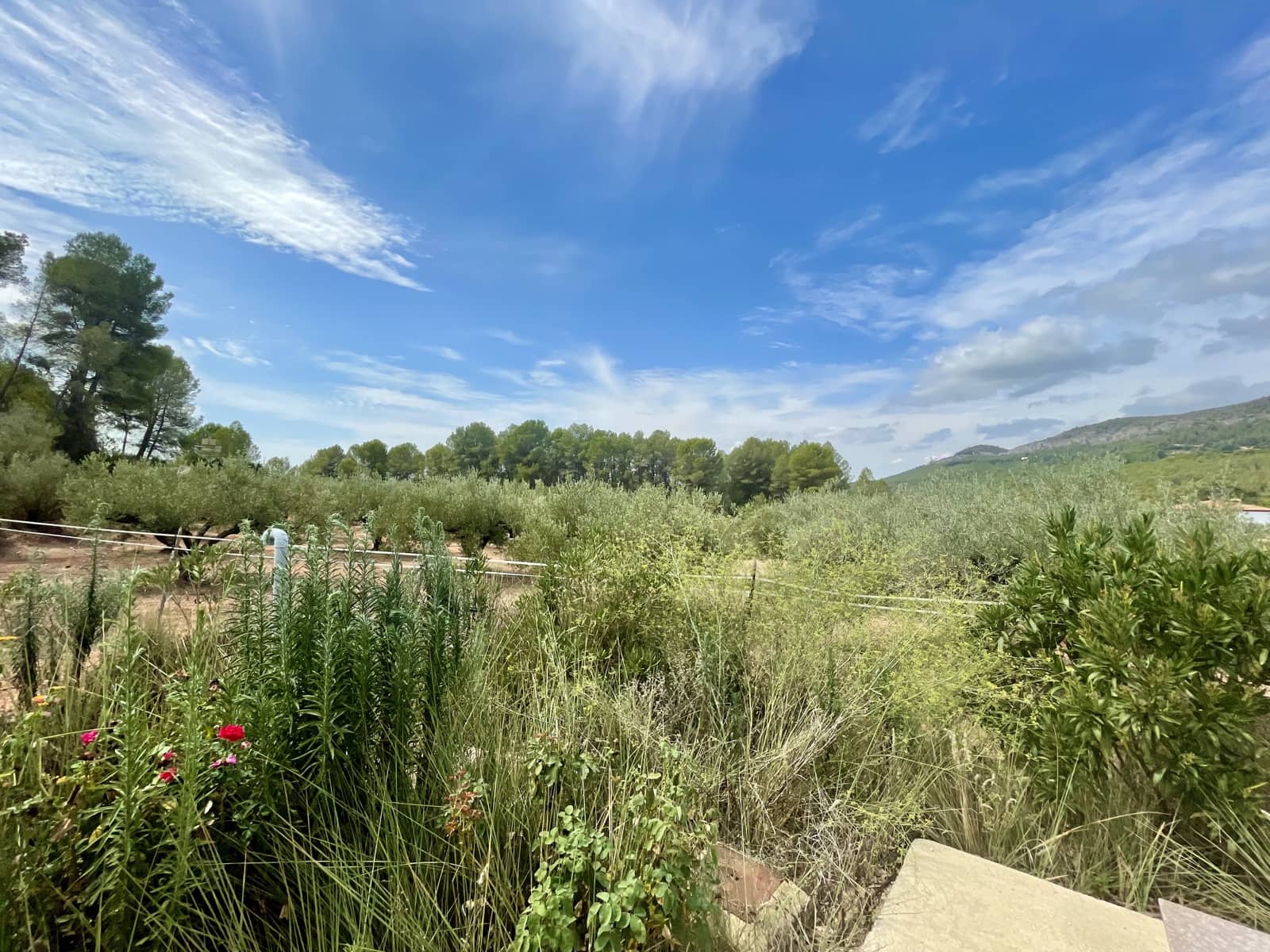 4 soverom Finca/Herregård til salgs i Beniganim med svømmebasseng - € 298 000 (Ref: 8500441)