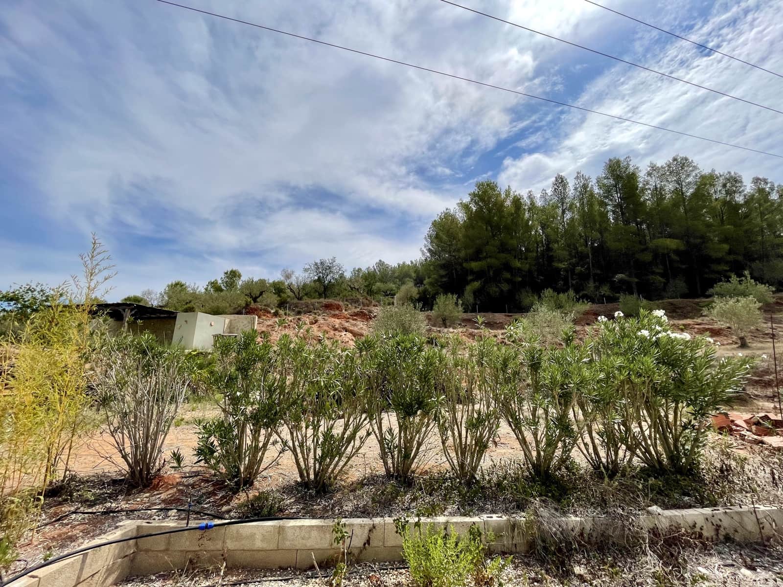 4 soverom Finca/Herregård til salgs i Beniganim med svømmebasseng - € 298 000 (Ref: 8500441)