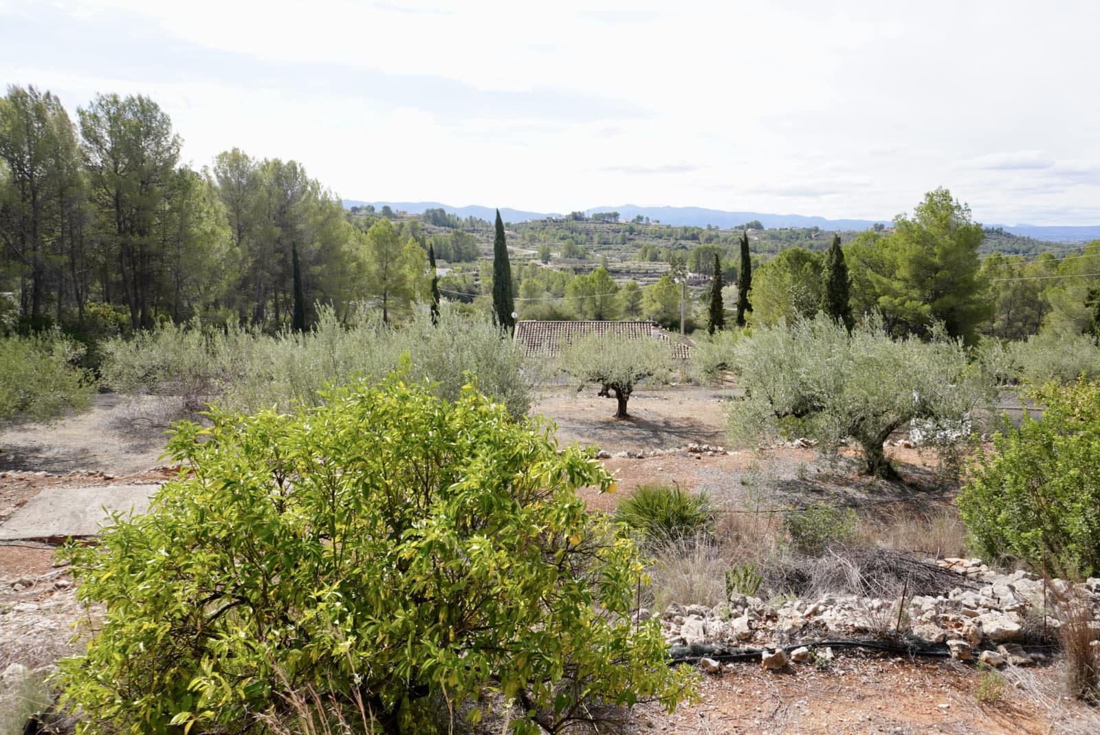 3 soverom Villa til salgs i Beniganim med svømmebasseng - € 230 000 (Ref: 8575233)