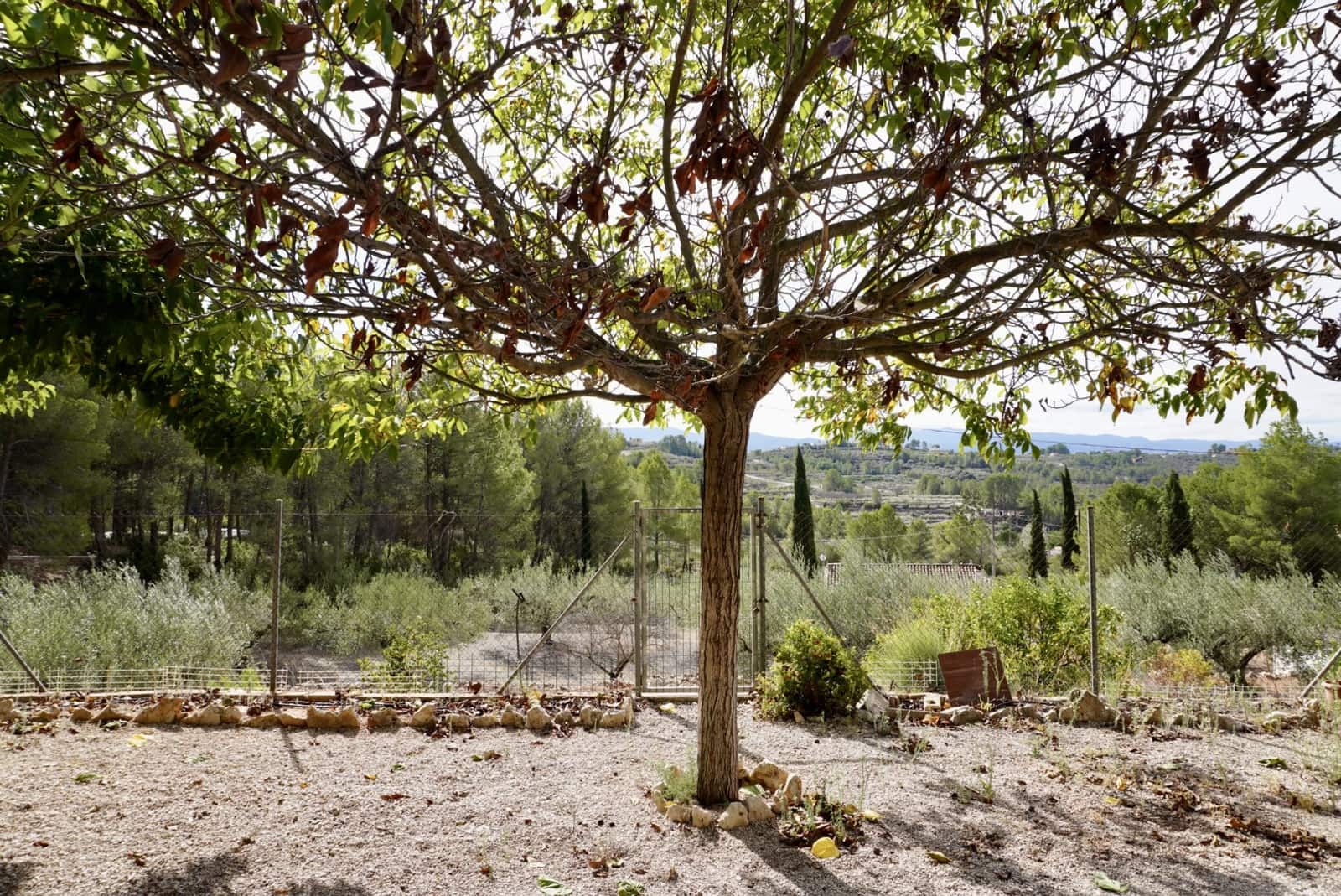 3 soverom Villa til salgs i Beniganim med svømmebasseng - € 230 000 (Ref: 8575233)