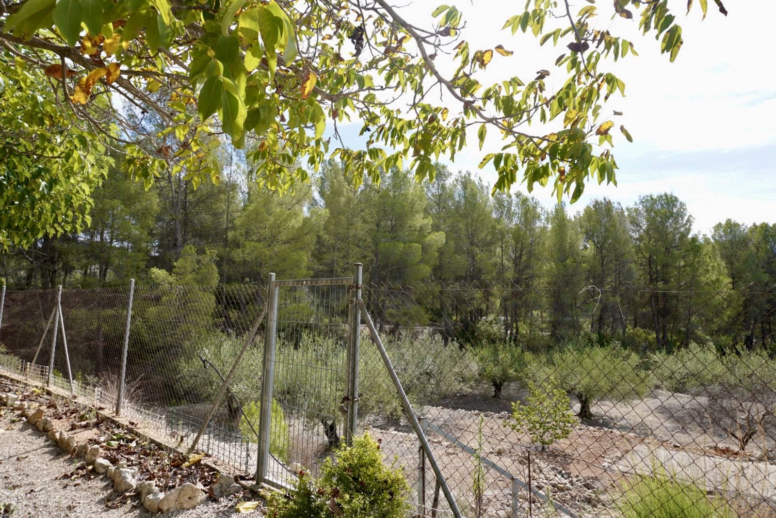 3 soverom Villa til salgs i Beniganim med svømmebasseng - € 230 000 (Ref: 8575233)