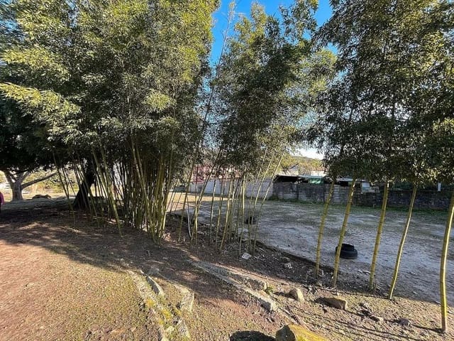 11 sovrum Finca/Hus på landet till salu i O Rosal med garage - 335 000 € (Ref: 9683962)