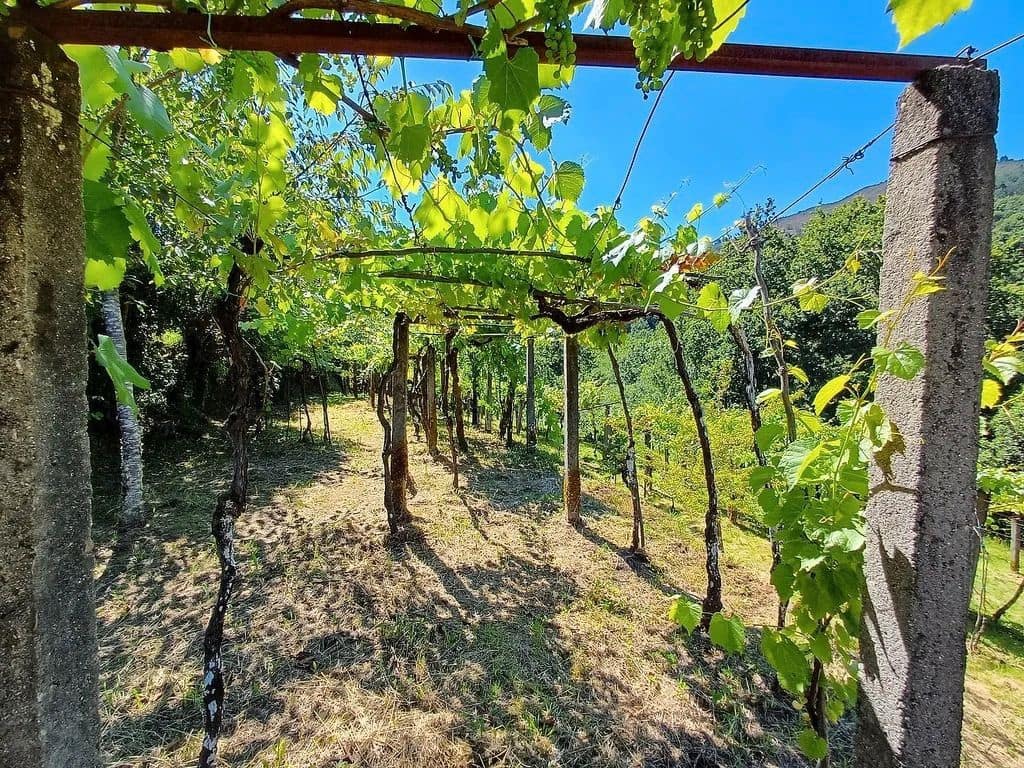 2 quarto Quinta/Casa Rural para venda em A Caniza - 79 000 € (Ref: 9683983)