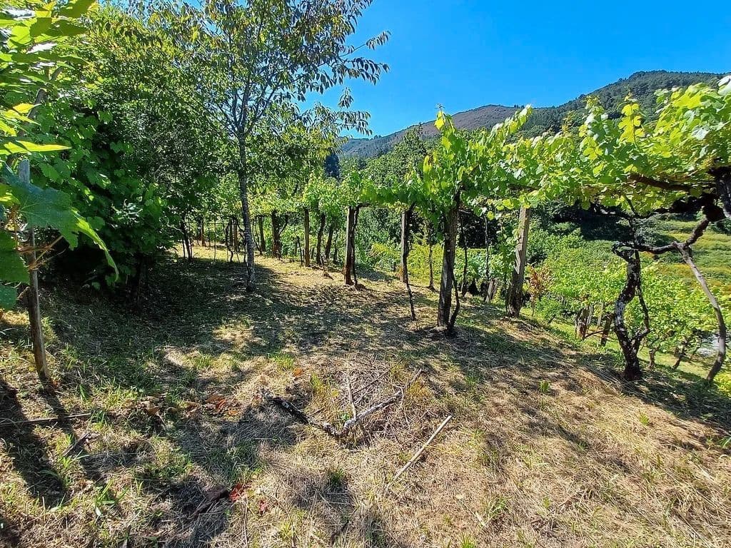 2 quarto Quinta/Casa Rural para venda em A Caniza - 79 000 € (Ref: 9683983)