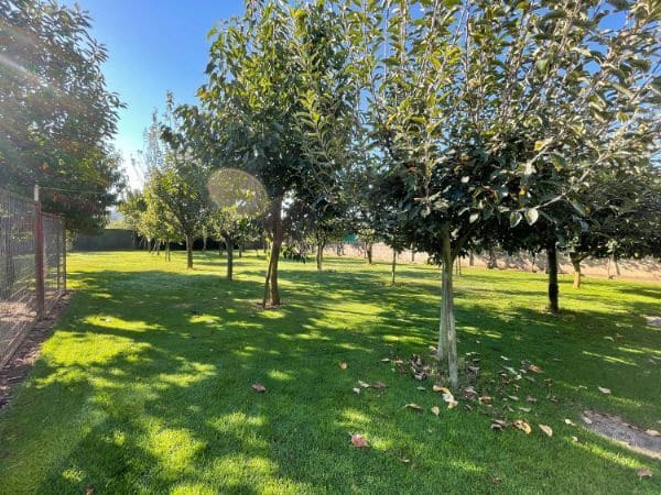 Restaurant/bar te koop in O Rosal - € 610.000 (Ref: 9685361)