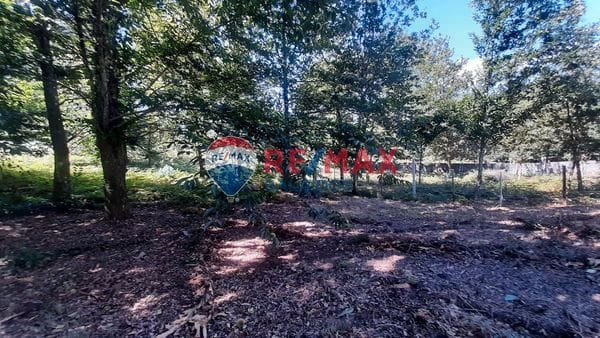 Ruin for sale in A Caniza - € 89,000 (Ref: 9685402)