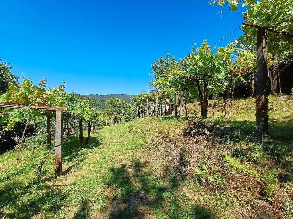 2 soveværelse Finca/Landehus til salg i A Caniza - € 79.000 (Ref: 9685420)