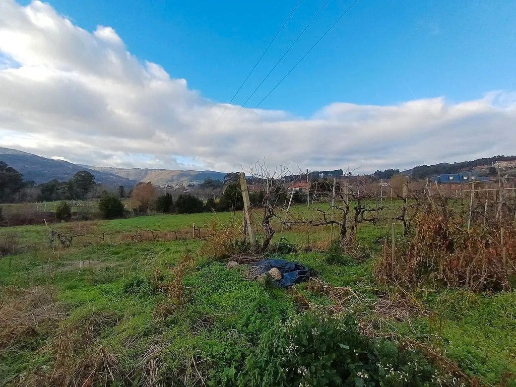 Building Plot for sale in A Caniza - € 99,000 (Ref: 9685433)