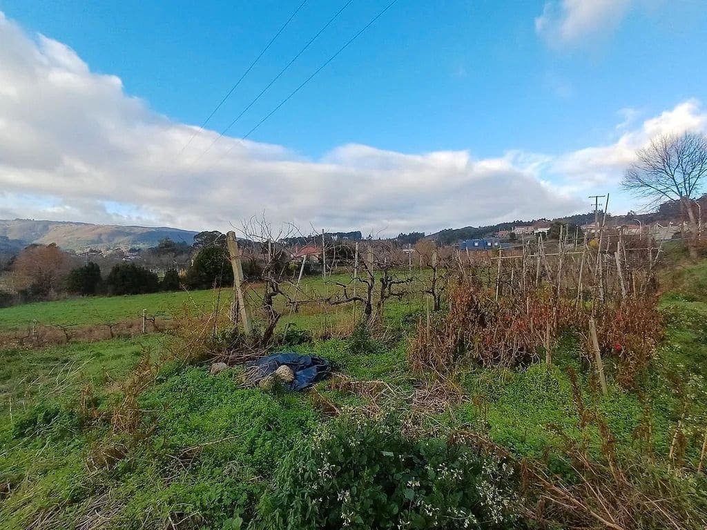 Building Plot for sale in A Caniza - € 99,000 (Ref: 9685433)