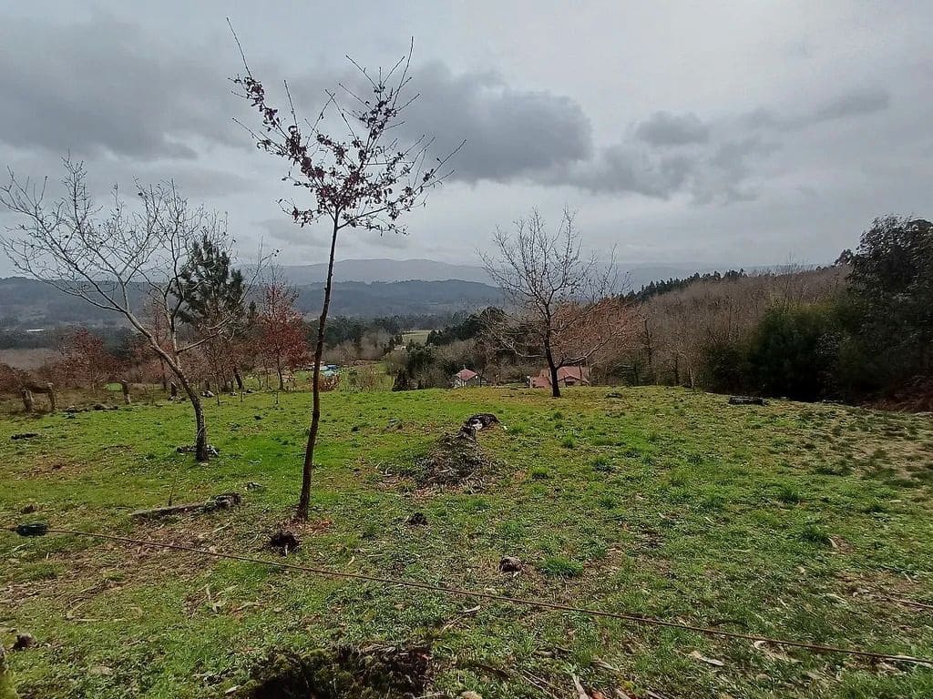 Building Plot for sale in A Caniza - € 19,800 (Ref: 9685441)