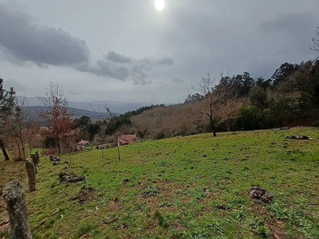 Building Plot for sale in A Caniza - € 19,800 (Ref: 9685441)