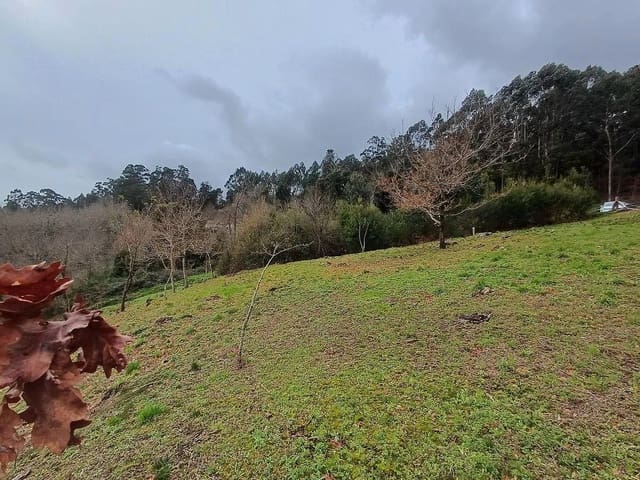 Building Plot for sale in A Cañiza - € 19,800 (Ref: 9685441)