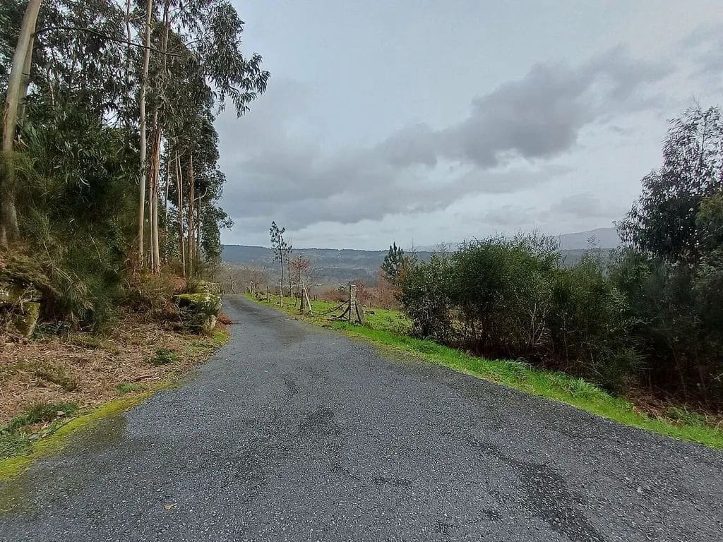 Building Plot for sale in A Caniza - € 19,800 (Ref: 9685441)