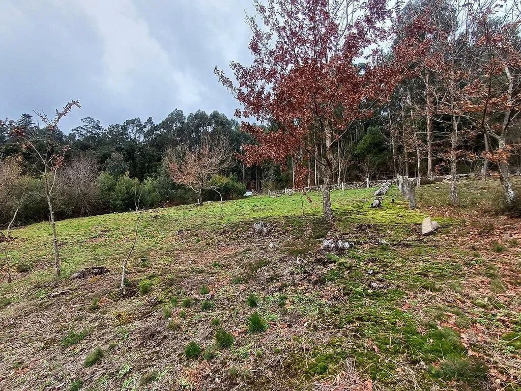 Building Plot for sale in A Caniza - € 19,800 (Ref: 9685441)